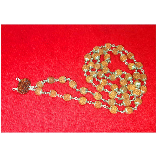 Rudraksha Mala with Gauri-Shankar bead image 0
