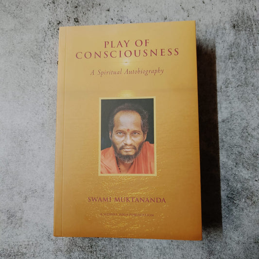 Play of consciousness image 0