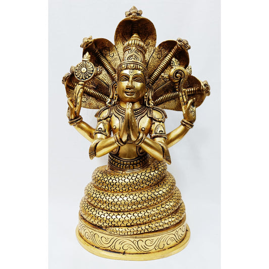 Patanjali Yoga 12" image 0