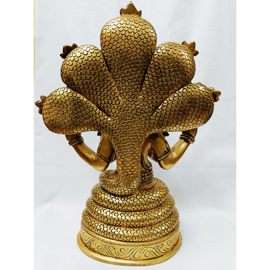 Patanjali Yoga 12" image 1