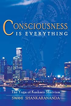 Consciousness is everything image 0