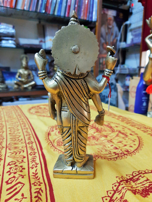 Dhanwantari (God of Ayurveda) 8" image 1