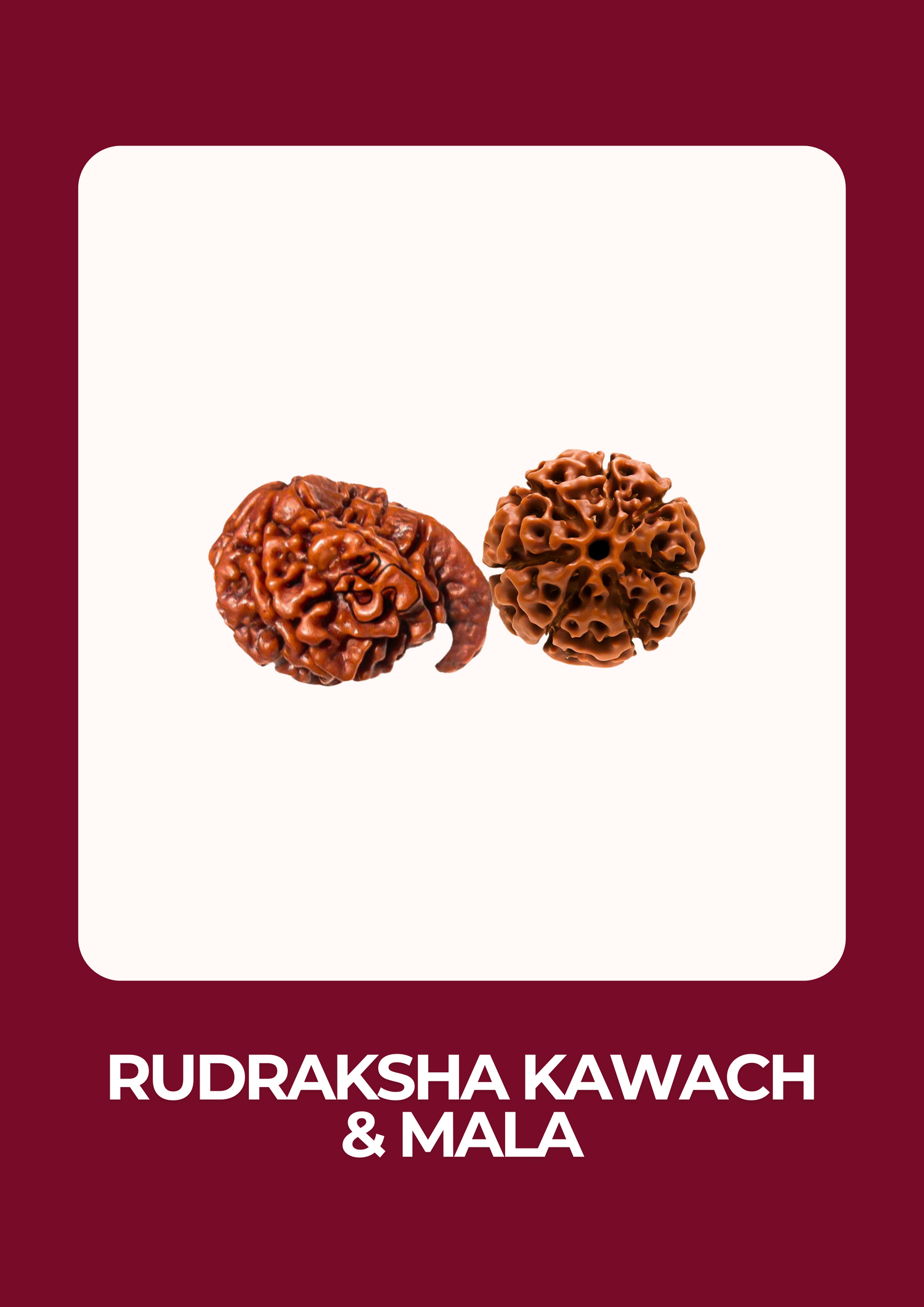 Rudraksha Beads and Malas