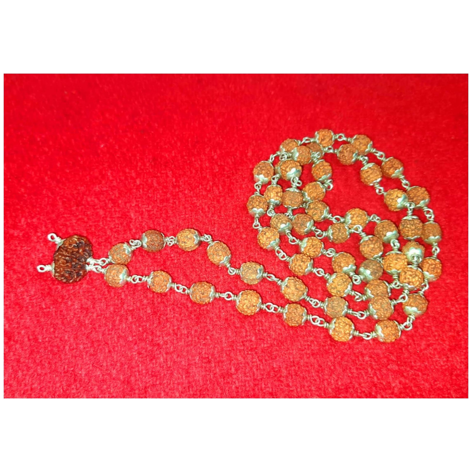 Rudraksha Mala with Gauri-Shankar bead image 0