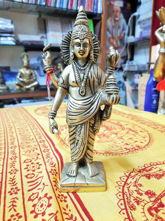 Dhanwantari (God of Ayurveda) 8" image 0