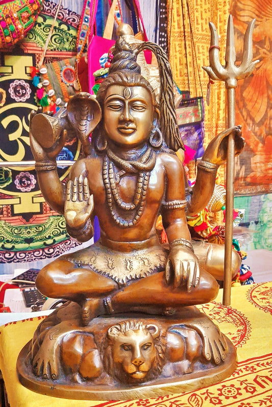 Shiva yogi 13" image 0