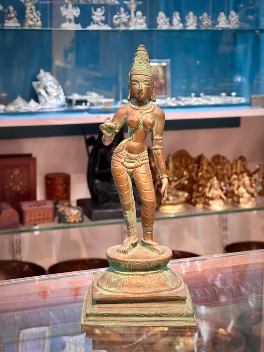 Bronze Standing Goddess Parvati Statue – 9”